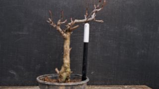 이정운님의 기타작물 · 영농일지 작성글 사진