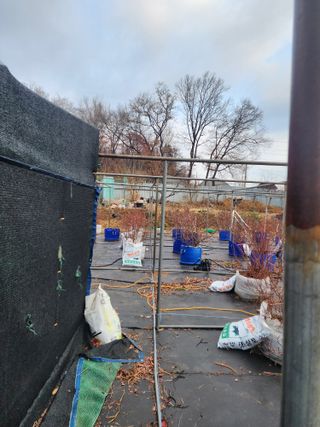 시흥댓골농부님의 기타작물 · 영농일지 작성글 사진