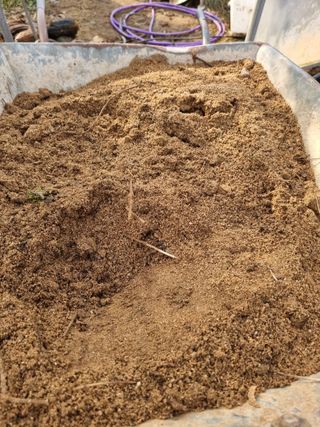 논산푸른팜님의 블루베리 · 영농일지 작성글 사진