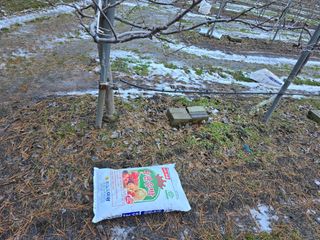 이흥식(청아농원)님의 사과 · 영농일지 작성글 사진