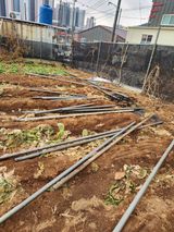 팜모닝 기타작물·영농일지 게시글 이미지