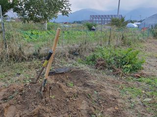경포일출님의 기타작물 · 영농일지 작성글 사진