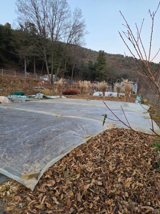 운길산님의 기타작물 · 영농일지 작성글 사진