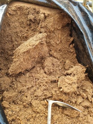 논산푸른팜님의 블루베리 · 영농일지 작성글 사진