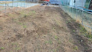 가야산아래촌농님의 기타작물 · 영농일지 작성글 사진