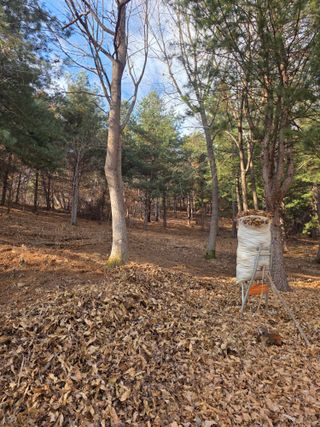 운길산님의 기타작물 · 영농일지 작성글 사진