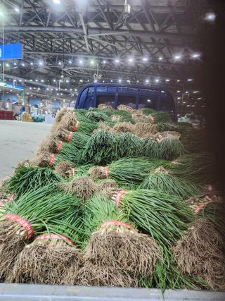 김저팔계님의 파 · 영농일지 작성글 사진