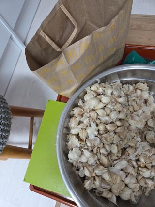 백현호님의 마늘 · 영농일지 작성글 사진