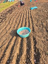 팜모닝 기타작물·영농일지 게시글 이미지