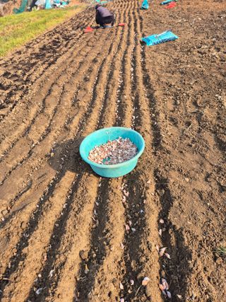 장재갑님의 기타작물 · 영농일지 작성글 사진