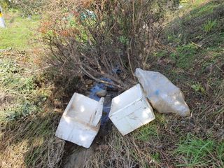 경포일출님의 기타작물 · 영농일지 작성글 사진