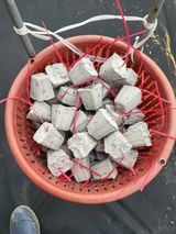 팜모닝 사과·영농일지 게시글 이미지