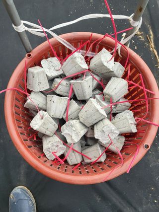 혜기농원(놀이터)님의 사과 · 영농일지 작성글 사진