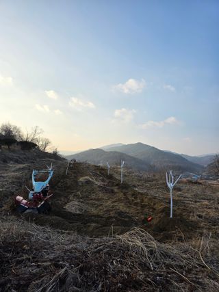 이상천님의 기타작물 · 영농일지 작성글 사진