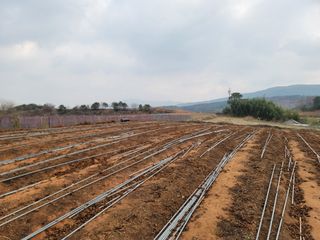 이용찬 열매마농원님의 기타작물 · 영농일지 작성글 사진