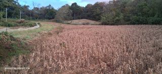 샤인머스켓님의 기타작물 · 영농일지 작성글 사진