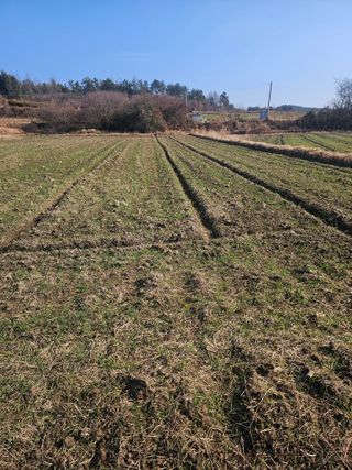 차춘석 님의 기타작물 · 영농일지 작성글 사진