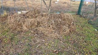 가야산아래촌농님의 기타작물 · 영농일지 작성글 사진