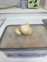 팜모닝 마늘·영농일지 게시글 이미지