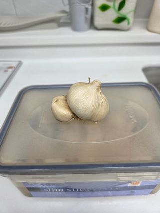 백현호님의 마늘 · 영농일지 작성글 사진