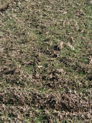 차춘석 님의 기타작물 · 영농일지 작성글 사진