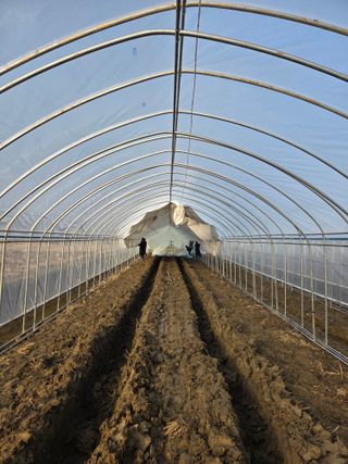 홍성규 님의 기타작물 · 영농일지 작성글 사진