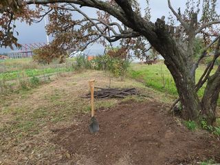 경포일출님의 기타작물 · 영농일지 작성글 사진