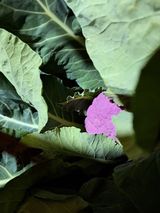 한림한경님의 작성글 사진