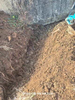 정택님의 벼 · 영농일지 작성글 사진