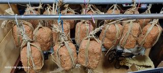 샤인머스켓님의 기타작물 · 영농일지 작성글 사진