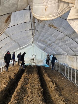 홍성규 님의 기타작물 · 영농일지 작성글 사진