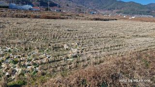 이현목님의 벼 · 영농일지 작성글 사진