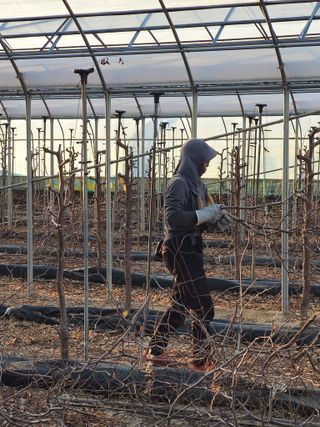 한혜경님의 기타작물 · 영농일지 작성글 사진