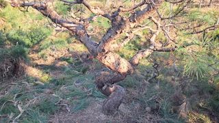 이정운님의 기타작물 · 영농일지 작성글 사진