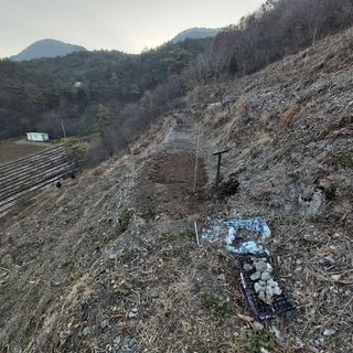 가로수님의 기타작물 · 영농일지 작성글 사진