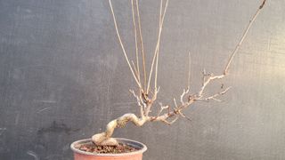 이정운님의 기타작물 · 영농일지 작성글 사진