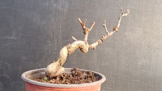 이정운님의 기타작물 · 영농일지 작성글 사진