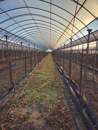 한혜경님의 기타작물 · 영농일지 작성글 사진