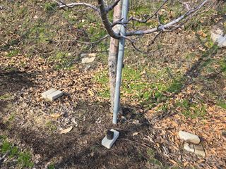 이흥식(청아농원)님의 사과 · 영농일지 작성글 사진