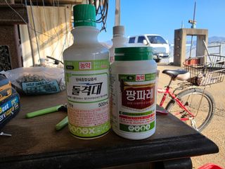 님의 기타작물 · 영농일지 작성글 사진