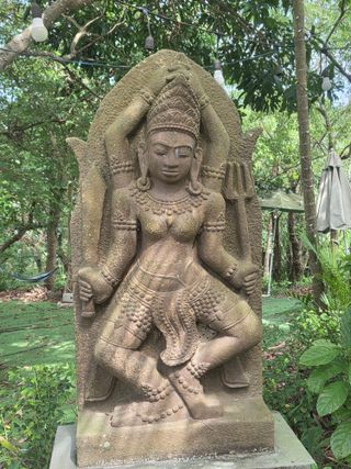 최동수님의 기타작물 · 영농일지 작성글 사진