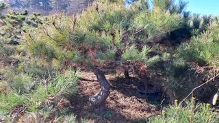 이정운님의 기타작물 · 영농일지 작성글 사진