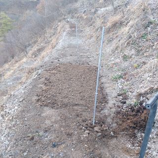 가로수님의 기타작물 · 영농일지 작성글 사진