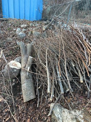 이익수님의 기타작물 · 영농일지 작성글 사진