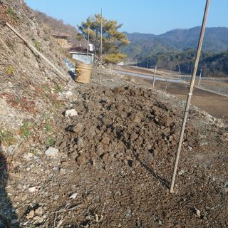 가로수님의 기타작물 · 영농일지 작성글 사진