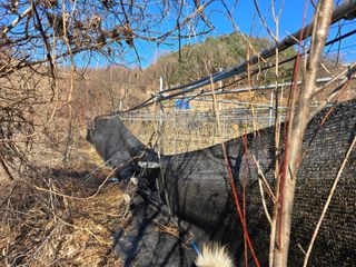 김종협님의 기타작물 · 영농일지 작성글 사진