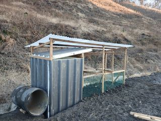 김홍중님의 기타작물 · 영농일지 작성글 사진