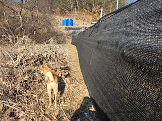 김종협님의 기타작물 · 영농일지 작성글 사진