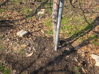 이흥식(청아농원)님의 사과 · 영농일지 작성글 사진