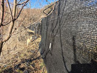 김종협님의 기타작물 · 영농일지 작성글 사진